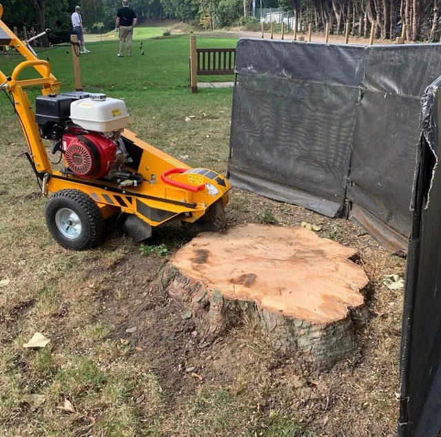 stump grinding being undertaken by a tree surgeon 